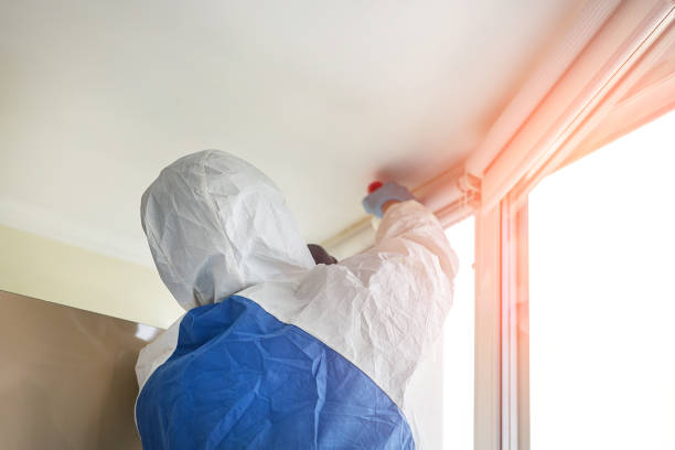 Best Mold Remediation for Healthcare Facilities  in Thibodaux, LA